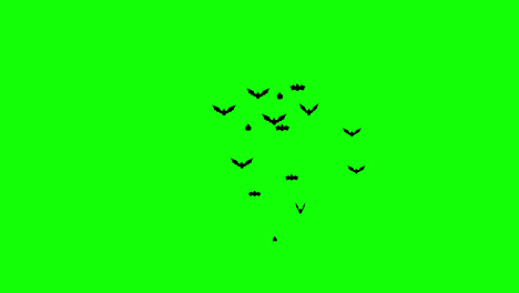 Halloween-bats-flying-loop-animation-Halloween-concept-element-with-alpha-channel